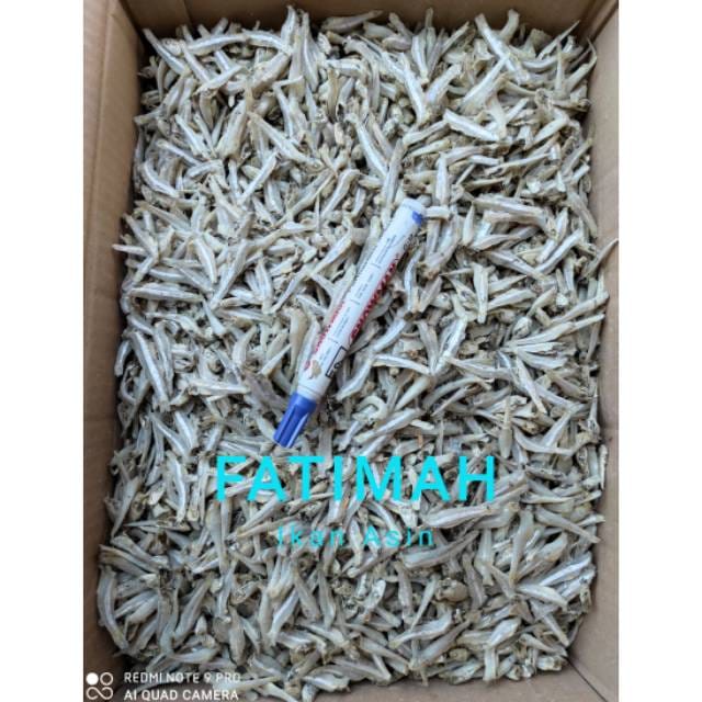 

Teri Jengki Rebus Asin 100gram Enak Murah