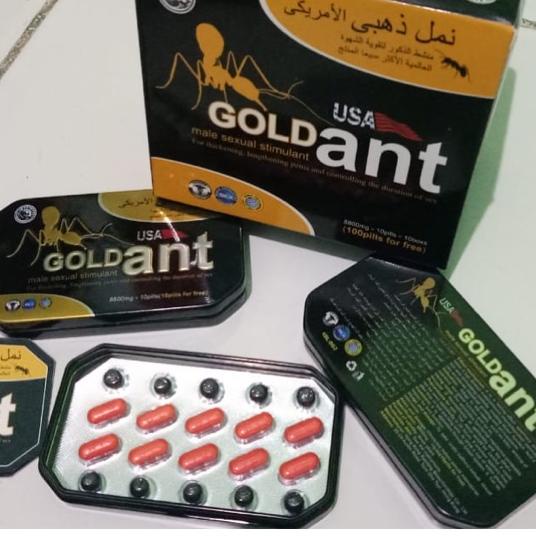 ➲ -gold-ant-asli ☏