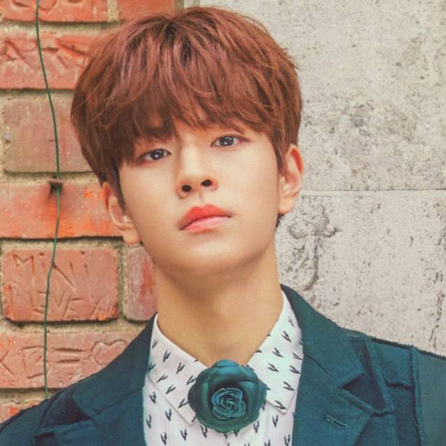 Hi Stay Seungmin