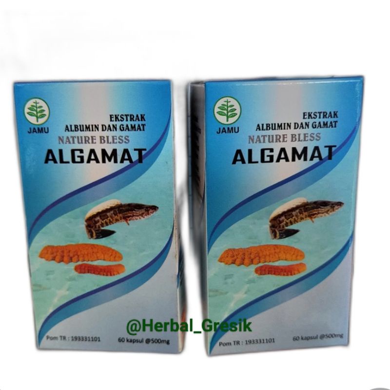 Algamat ekstrak Gamat dan ikan gabus (ikan kutuk) kemasan baru (slide ke 2)