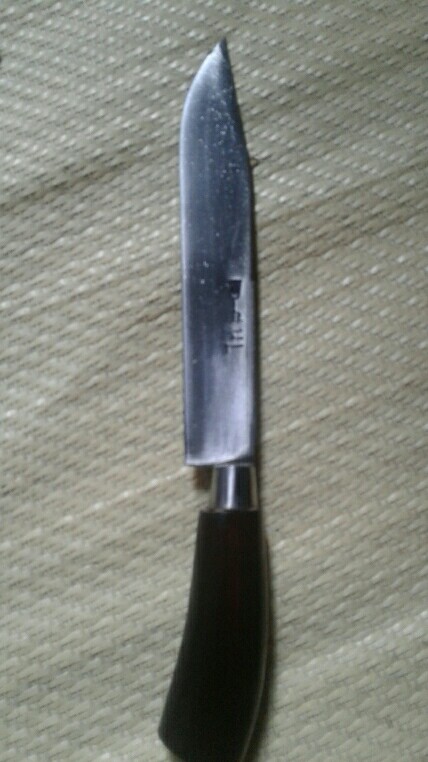 Pisau Dapur Baja Per Asli