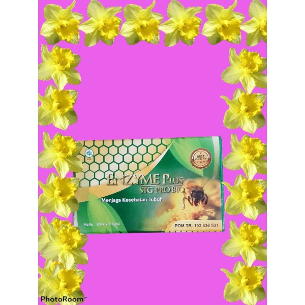 ENZIM  HERBAL OBAT PENCERNAAN