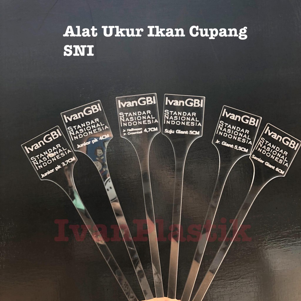 ALAT UKUR KONTES CUPANG HIAS SNI