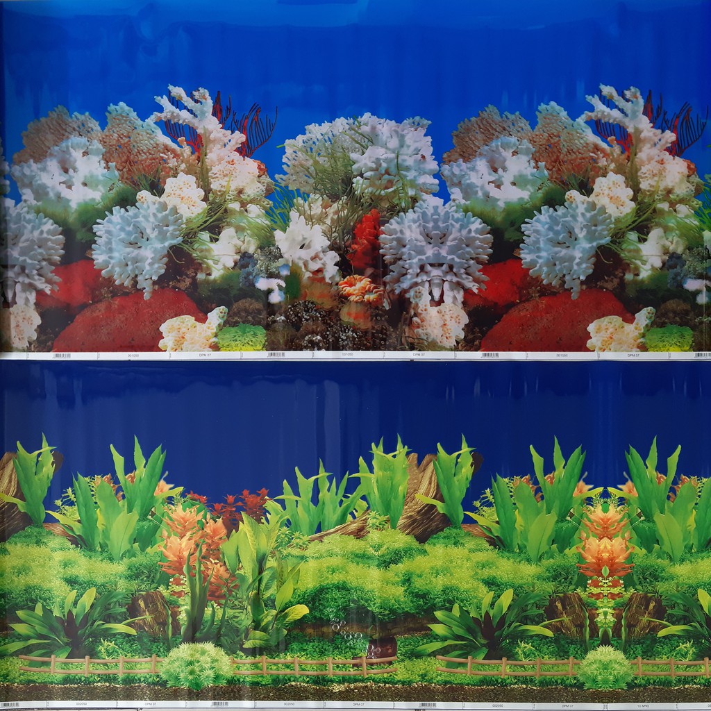 Wallpaper Background Aquarium 60 cm