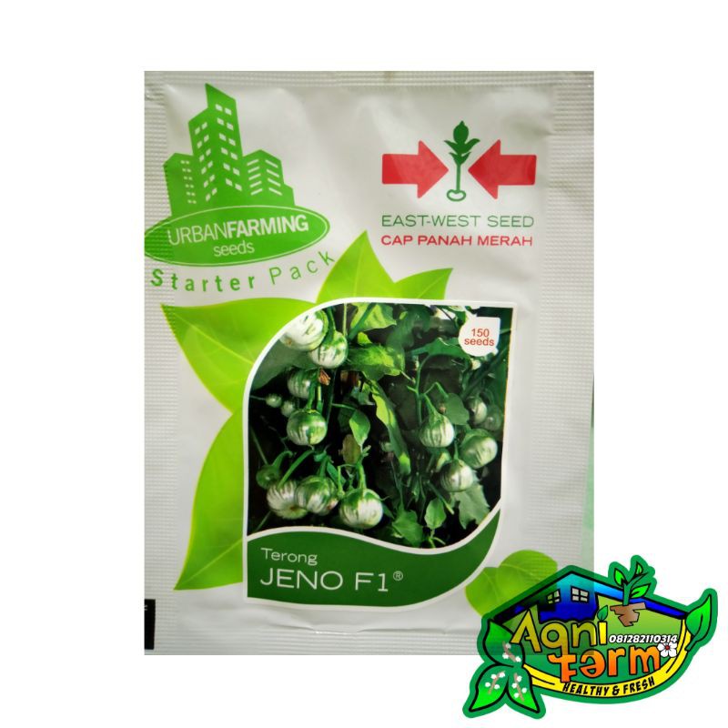 Benih Bibit Terong batik benih Terong lalap benih terong Jeno F1