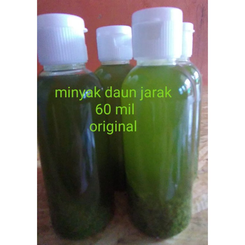 minyak herbal DAUN jarak original