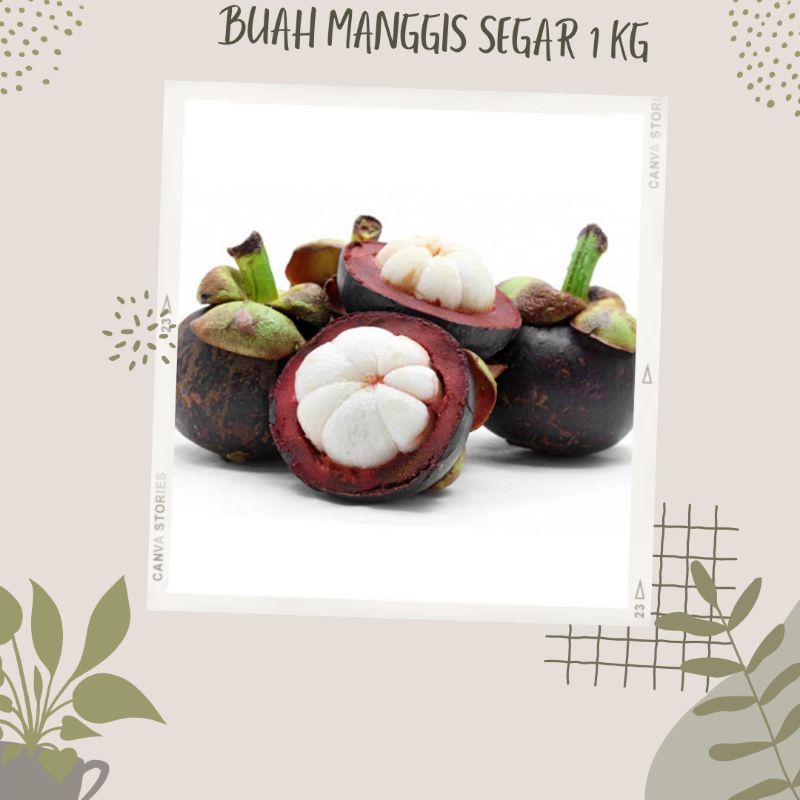 

Buah manggis segar 1kg