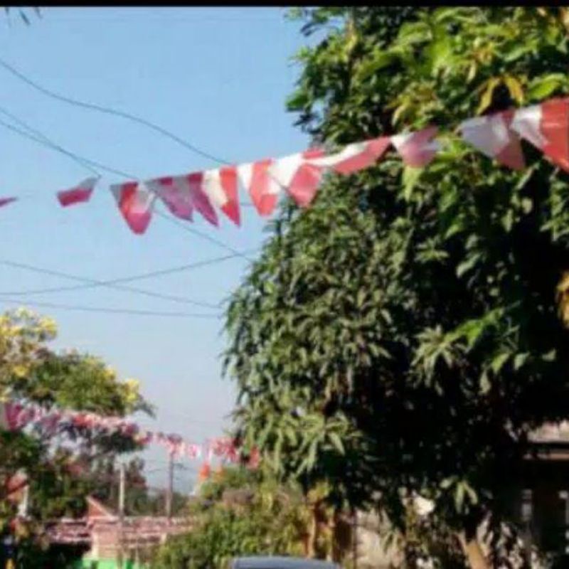 BENDERA MERAH PUTIH PLASTIK Ada Tali / Tanpa Tali ( Harga/Bungkus )