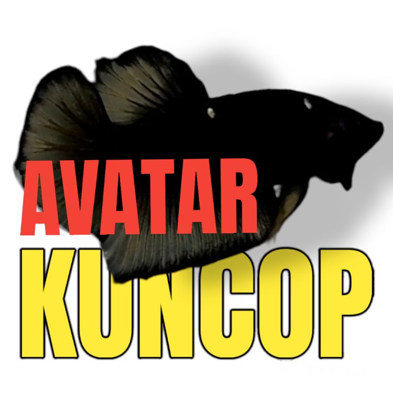 cupang avatar kuncop realpict