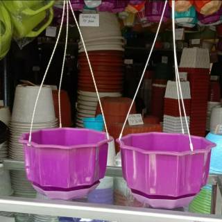  Pot  Bunga Gantung  Enoki  06 Aneka Warna Shopee Indonesia