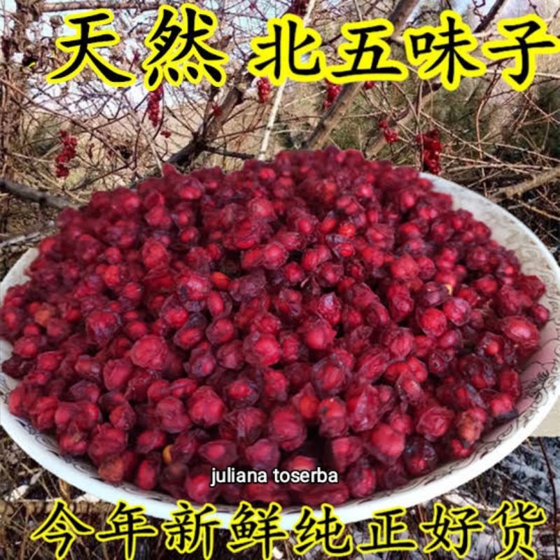 

Wu Wei Zhi Kranberi 五味子 Schisandra Cranberry 50 gram
