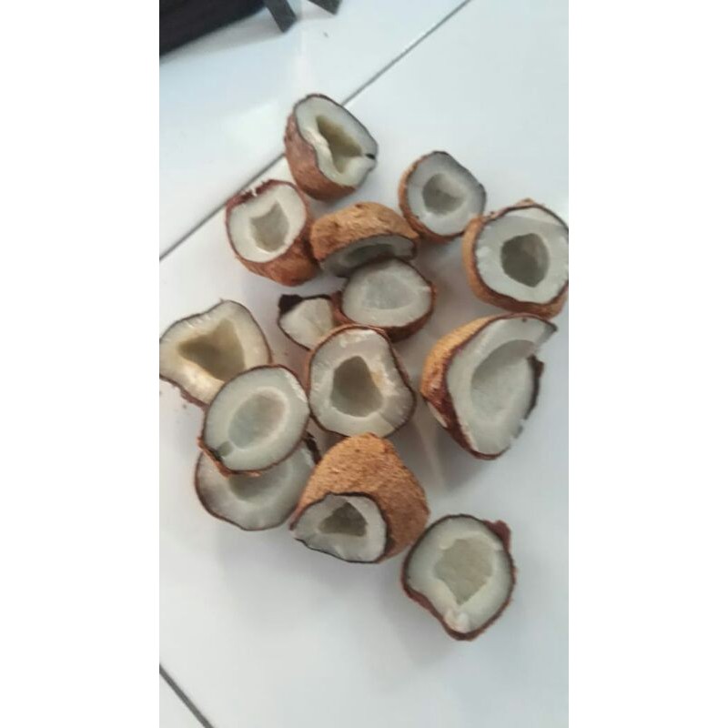 

buah zuriat