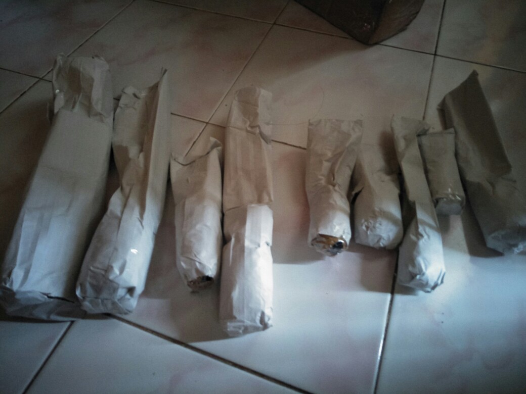 Tanaman Hias Aechmea Gamosepala/bromelia Jagung/bromelia Putih Varigata