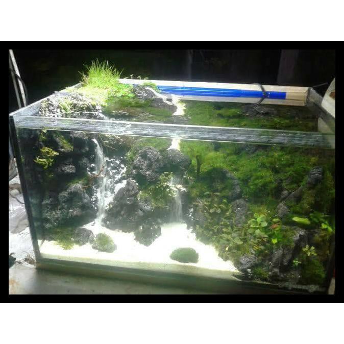 51 Desain Aquarium Air Terjun Gratis Terbaik