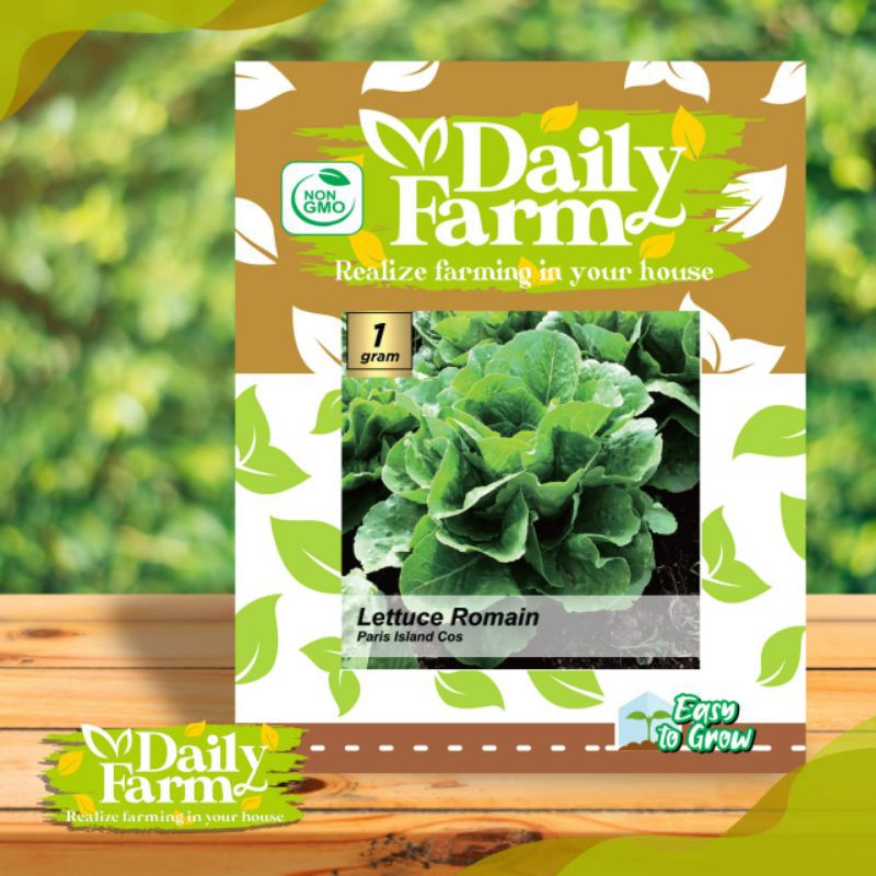 DF benih LETTUCE ROMAIN paris island cos 1 gram selada romaine dari daily farm
