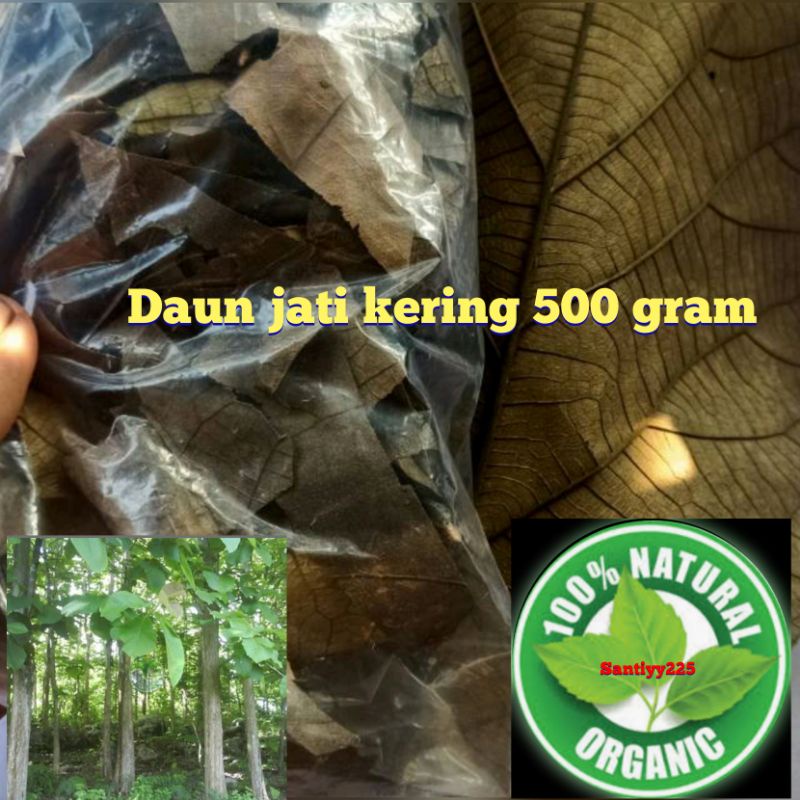 

Daun jati kering 500 gram