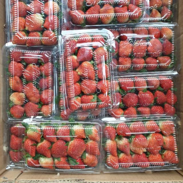 

Strawberry Organik Garut/ Buah Cinta dari Garut