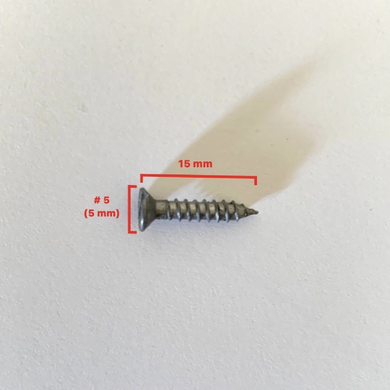 (100 pcs) #5 x 5/8” Moon Lion Taping Screw Skrup / Sekrup Kayu