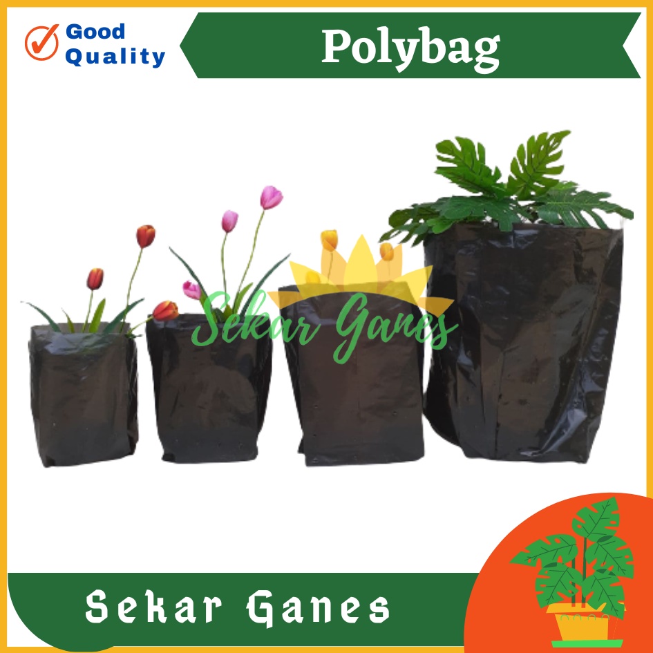 1 Polybag Tanaman Polibag Tebal Kecil Sedang 10x12 15x15 20x20 25x25 30x30 Pot Plastik Polibek Bunga