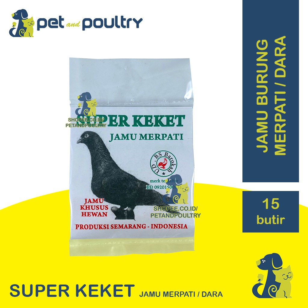 SUPER KEKET - JAMU MERPATI / BURUNG DARA TERBANG LINCAH CEPAT GIRING