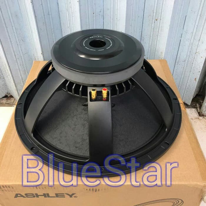 Speaker Component Ashley L900A Original Woofer 18 inch