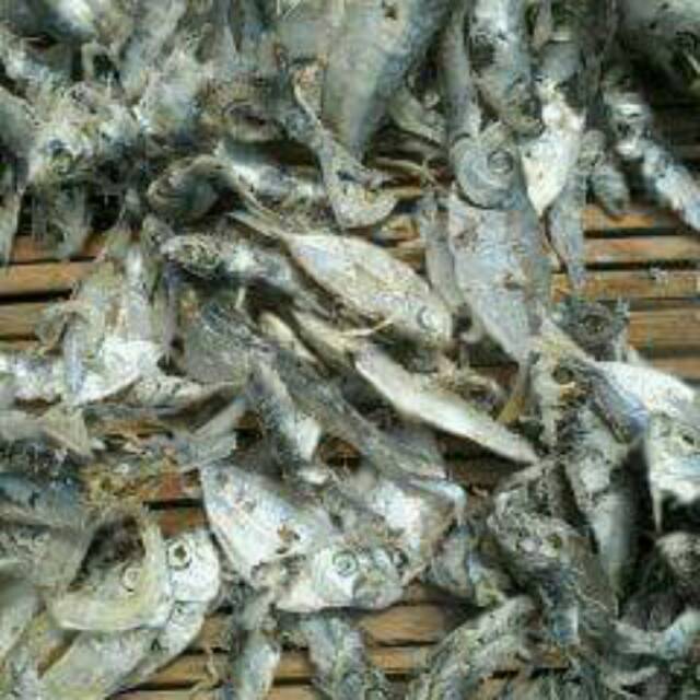 

Ikan asin