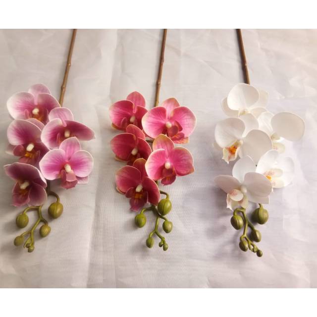 Anggrek Latex Mini K1