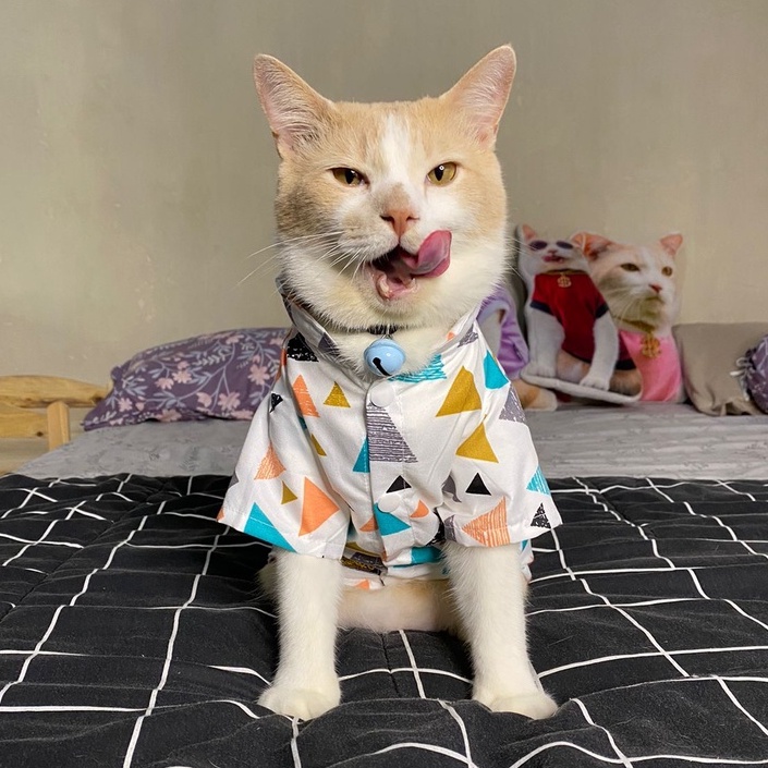 Kemeja kucing Pororo Motif Segitiga