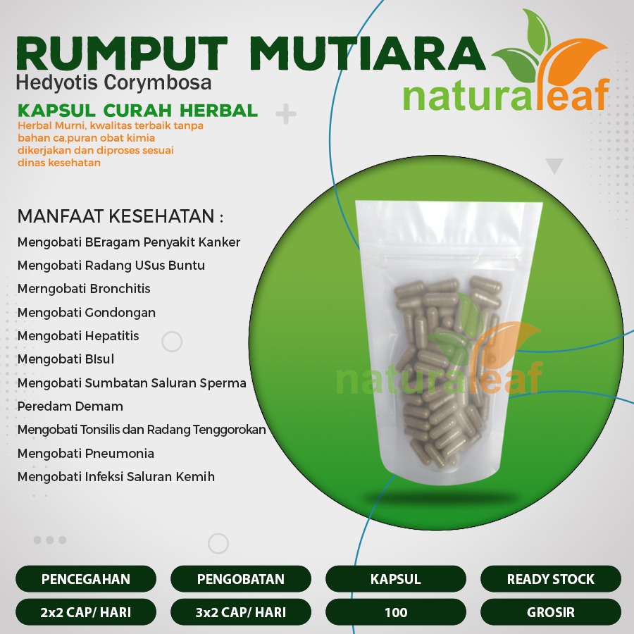 RUMPUT MUTIARA 200x600 Kapsul Curah Herbal Sumbatan Saluran Sperma Usus Buntu