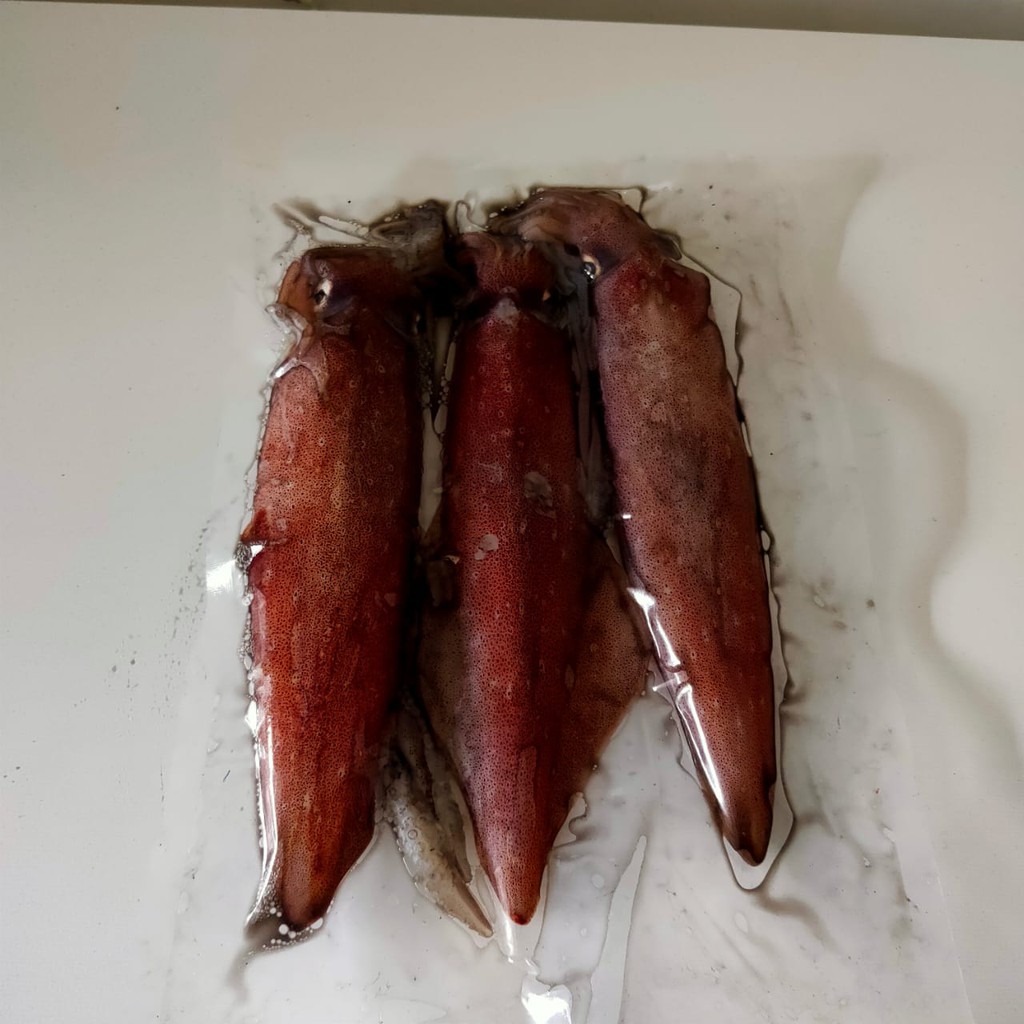 

Cumi Beku Laut 500 g