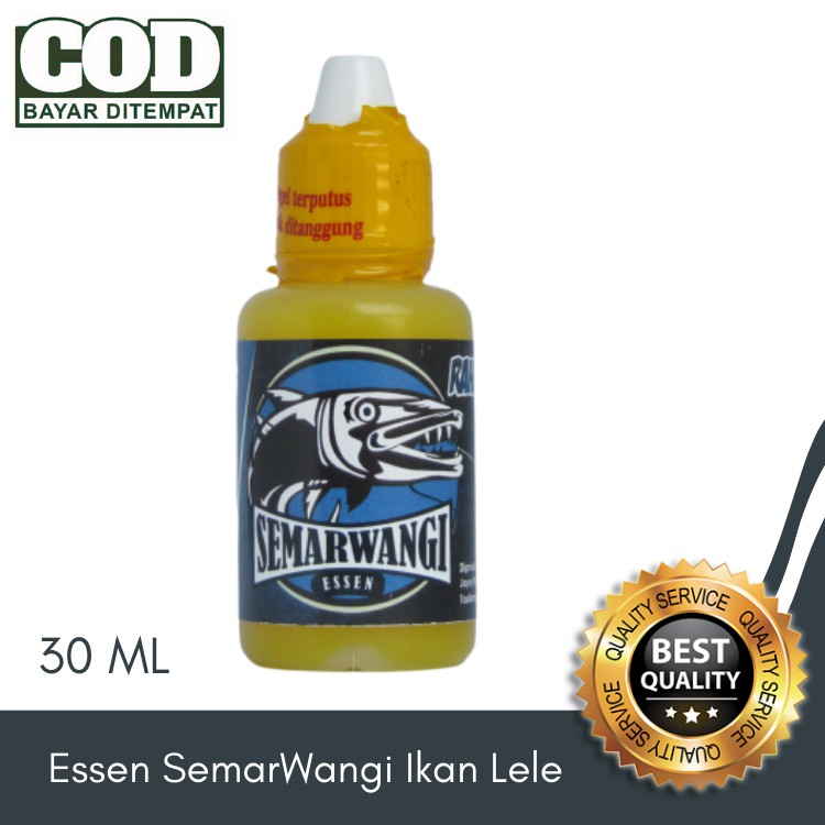 ESSEN IKAN LELE KILO GEBRUS / HARIAN | SEMARWANGI | PALING AMPUH 2021