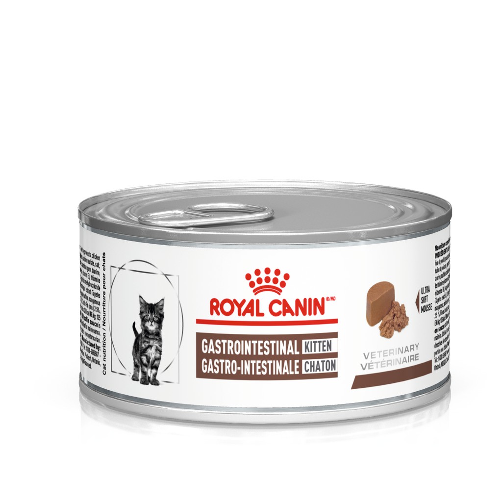 Jual Royal Canin Gastro intestinal Cat KITTEN Kaleng 195gr | Shopee ...