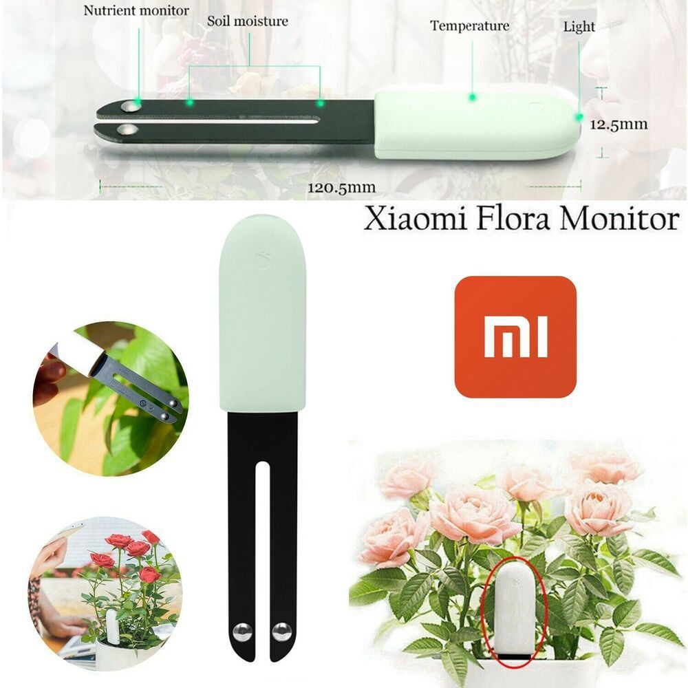 Jual XIAOMI MI FLORA GLOBAL VERSION SENSOR FLOWER PLANT MONITOR ALAT MONITORING TANAMAN Shopee