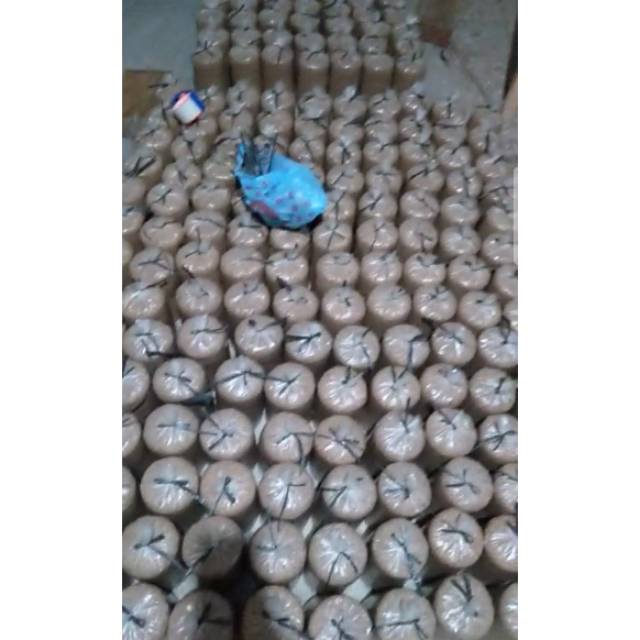 

Baglog Jamur tiram