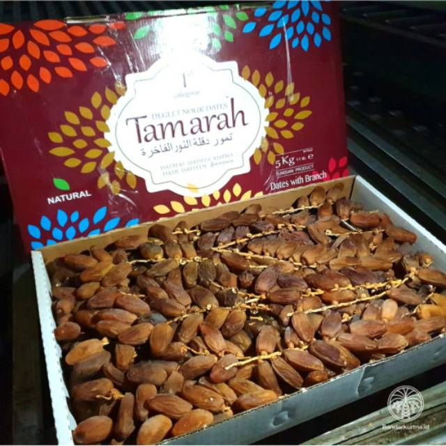 

Kurma Tangkai Tunisia