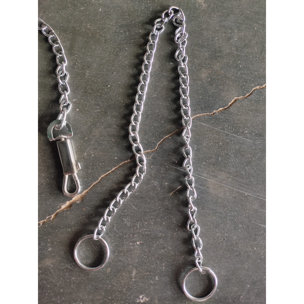 Rantai Hewan Peliharaan Rantai Kucing Rantai Monyet / Rantai Anjing GALANTINO