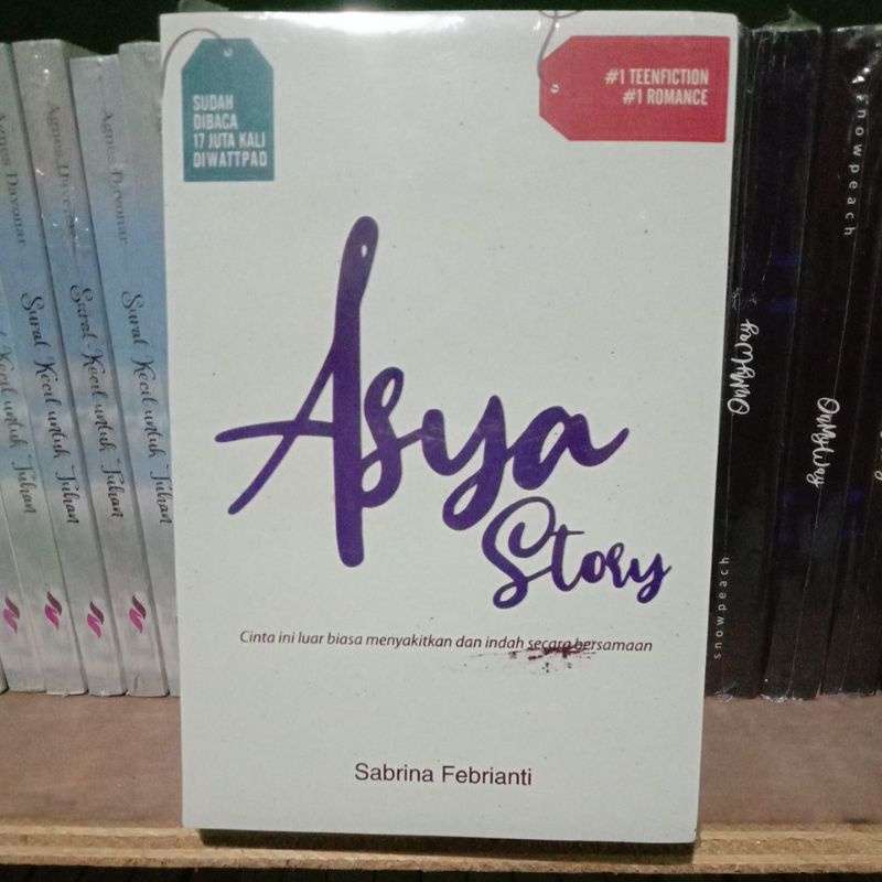 Novel Asya Story