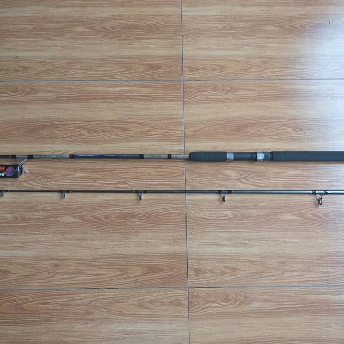 Joran Rod Golden Fish Carneros 240