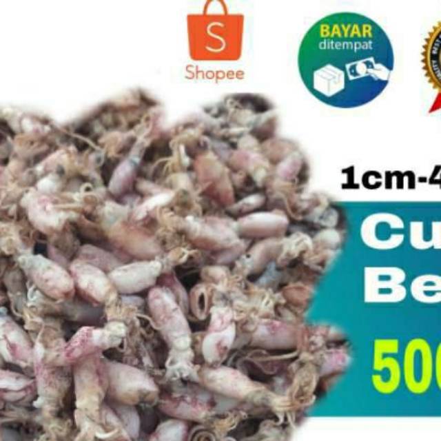 

Ikan asin Beby cumi-500 gram