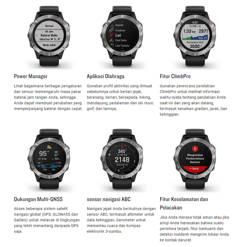 Garmin Fenix 6