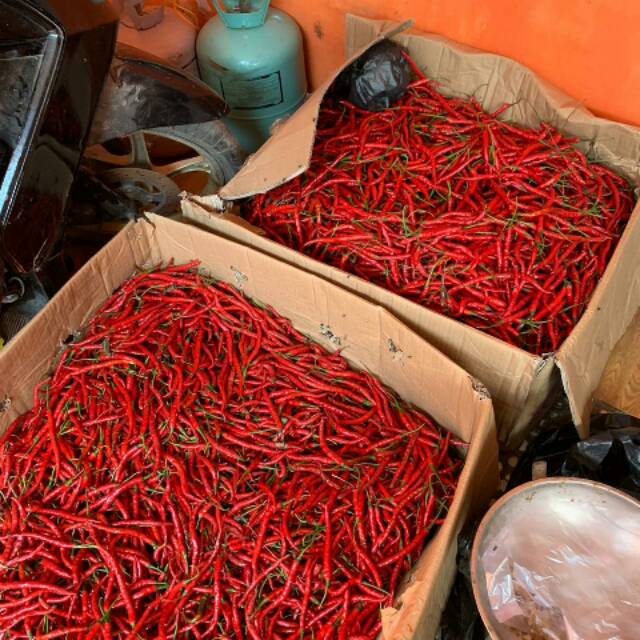 

Cabe merah keriting super per 1/2kg