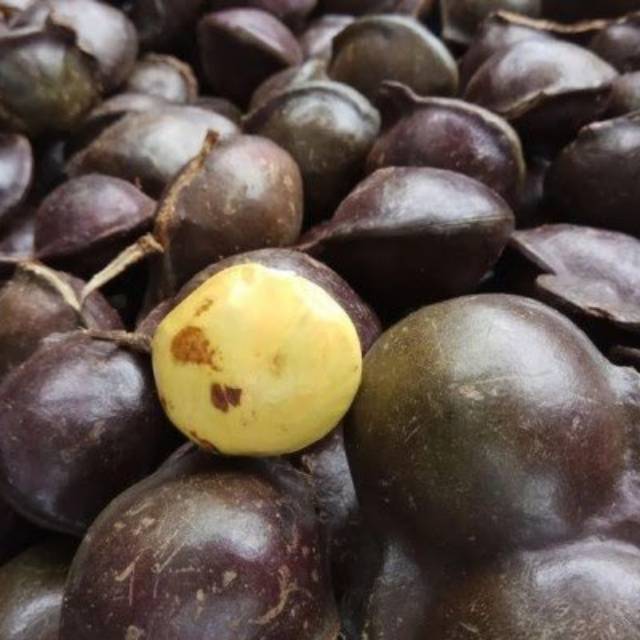 

Jengkol