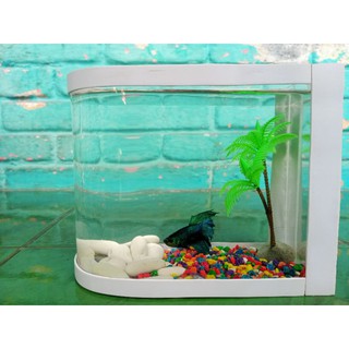 aquarium mini unik akrilik pvc cocok buat cupang dan ikan ...