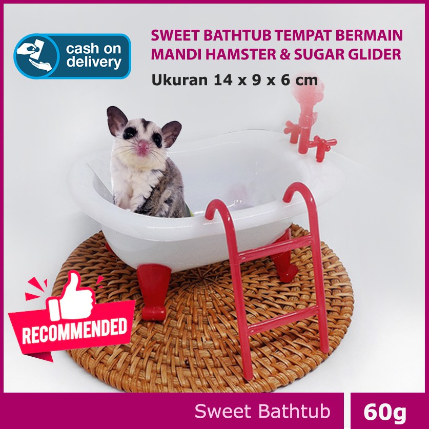 ADEWAP GLIDER Sweet Bathtub Tempat Mandi Hamster Sugar Glider