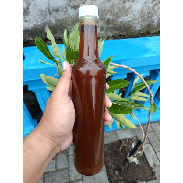 

Madu Klanceng Liar Jenis Itama