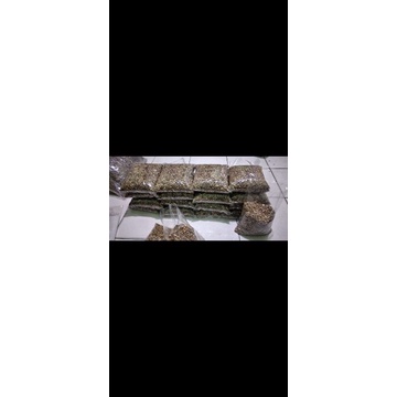 

1kg Green Bean ROBUSTA Asalan Pagar Alam - Jarai Sumsel.