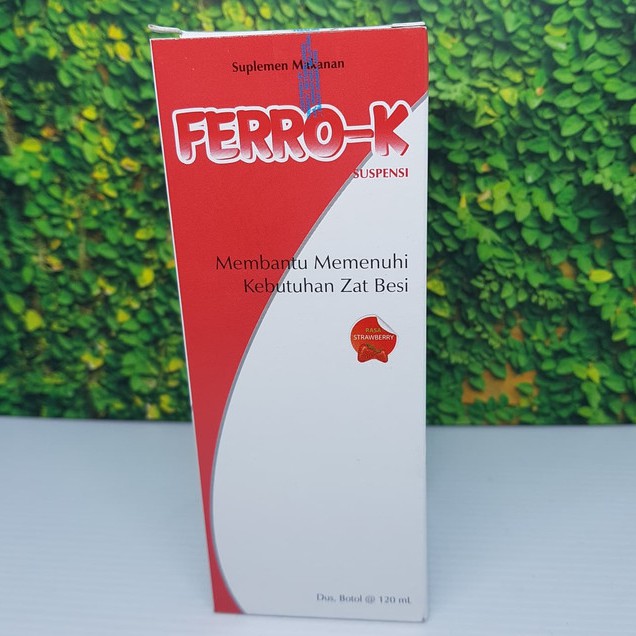 

FERRO K Syrup 120 ml