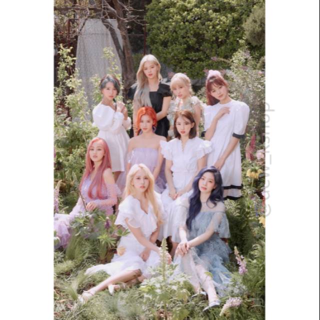 POSTER TWICE - "MORE & MORE" CONCEPT PHOTO #1