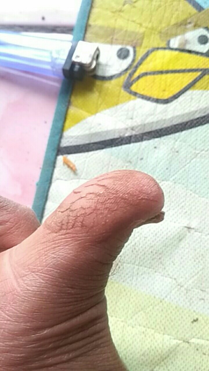 Pisau Pangot/pisau Raut Belah Bambu Dari Baja Per