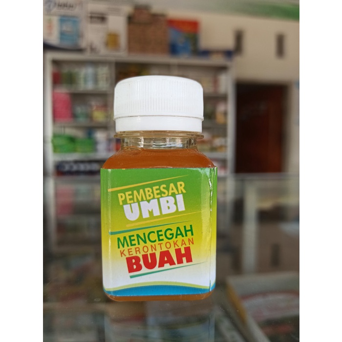 Zat Pengatur Tumbuh Power Gibb Liquid 60 ML ready stock